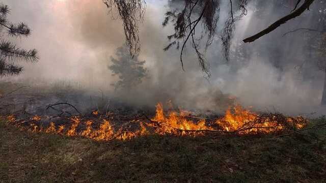 У Миколаївській області через нічний ракетний удар сталися пожежі, - ОВА