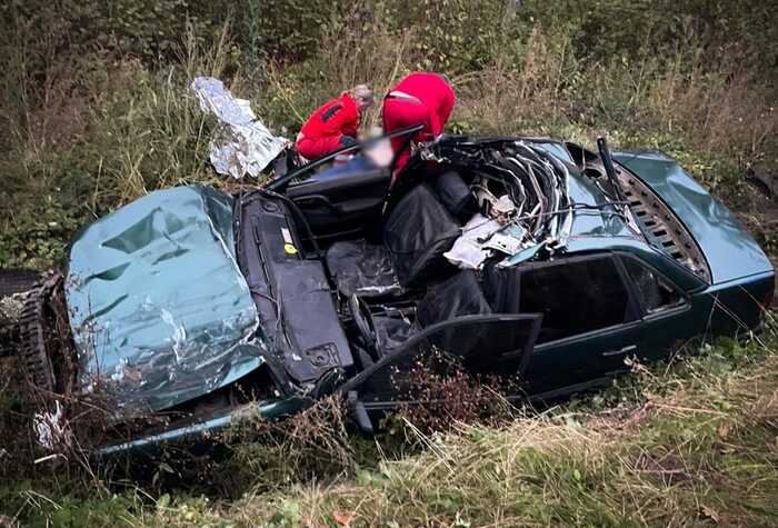 На Львівщині сталась смертельна ДТП через буйвола