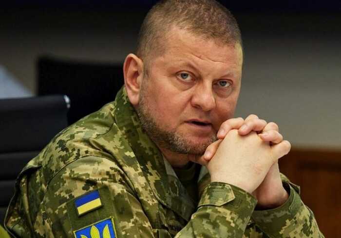 Непублічна і цілеспрямована: ким є донька Валерія Залужного від першого шлюбу